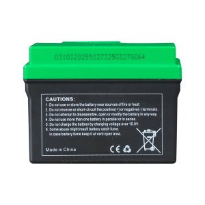 Аккумулятор FUBAG li-ion 3Ah для инверторного генератора TI 11000 A ES (арт. 646211) купить в Волгограде